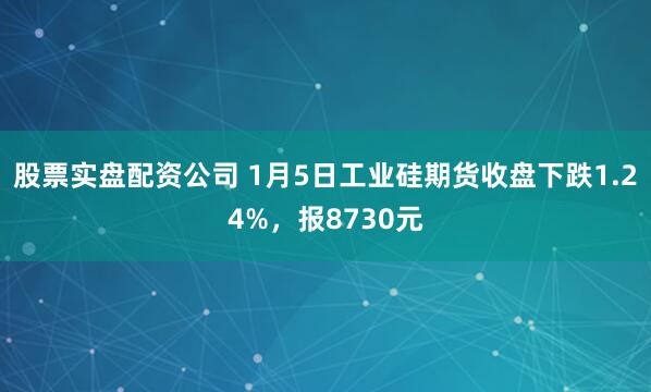 股票实盘配资公司 1月5日工业硅期货收盘下跌1.24%，报8730元